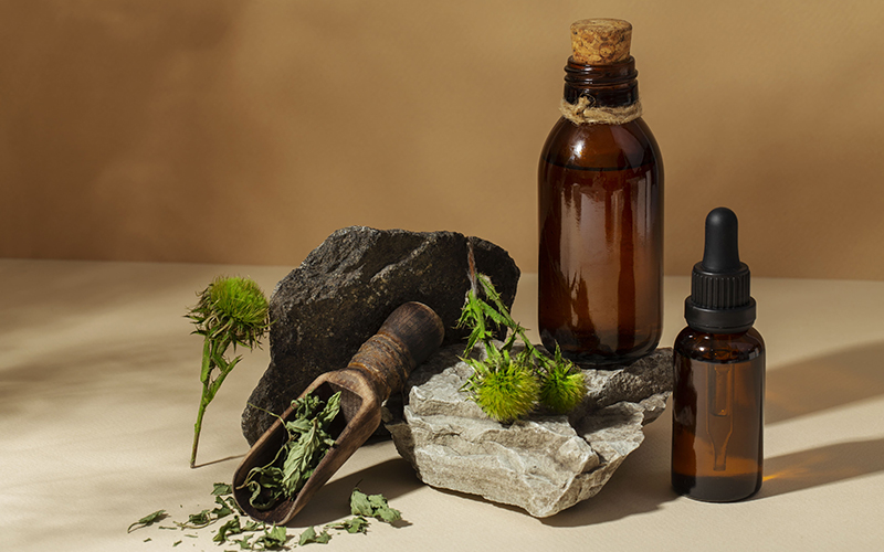 imagen de fitoterapia