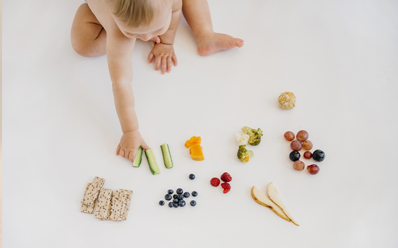 imagen de nutrición