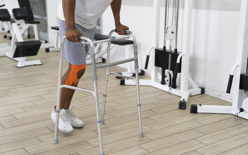 imagen de nutrición